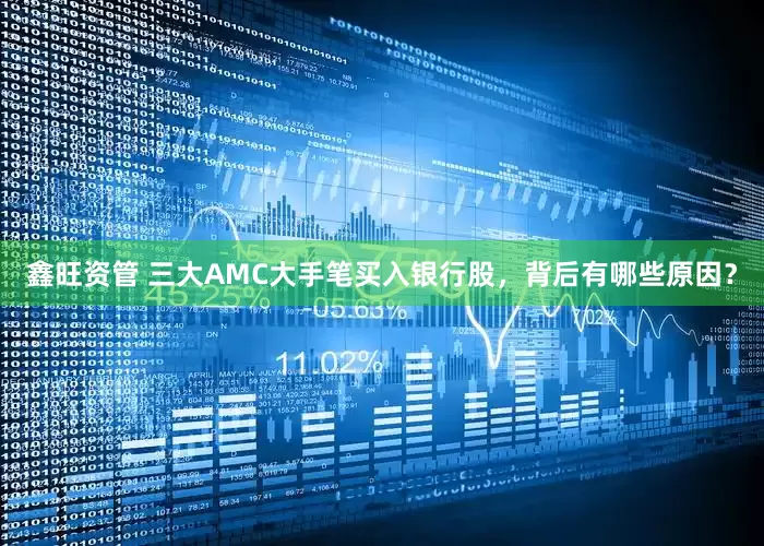 鑫旺资管 三大AMC大手笔买入银行股，背后有哪些原因？