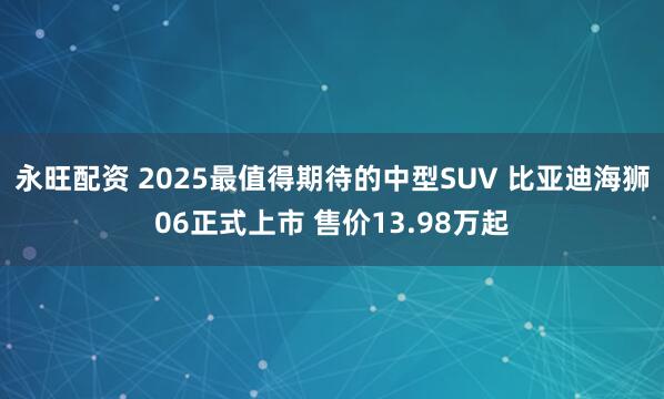 永旺配资 2025最值得期待的中型SUV 比亚迪海狮06正式上市 售价13.98万起