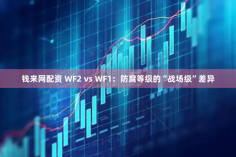 钱来网配资 WF2 vs WF1：防腐等级的“战场级”差异